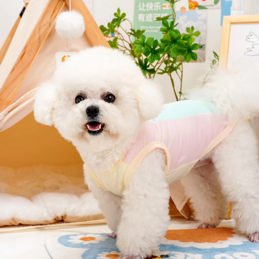 Summer Cooling Ice Silk Dog Vest