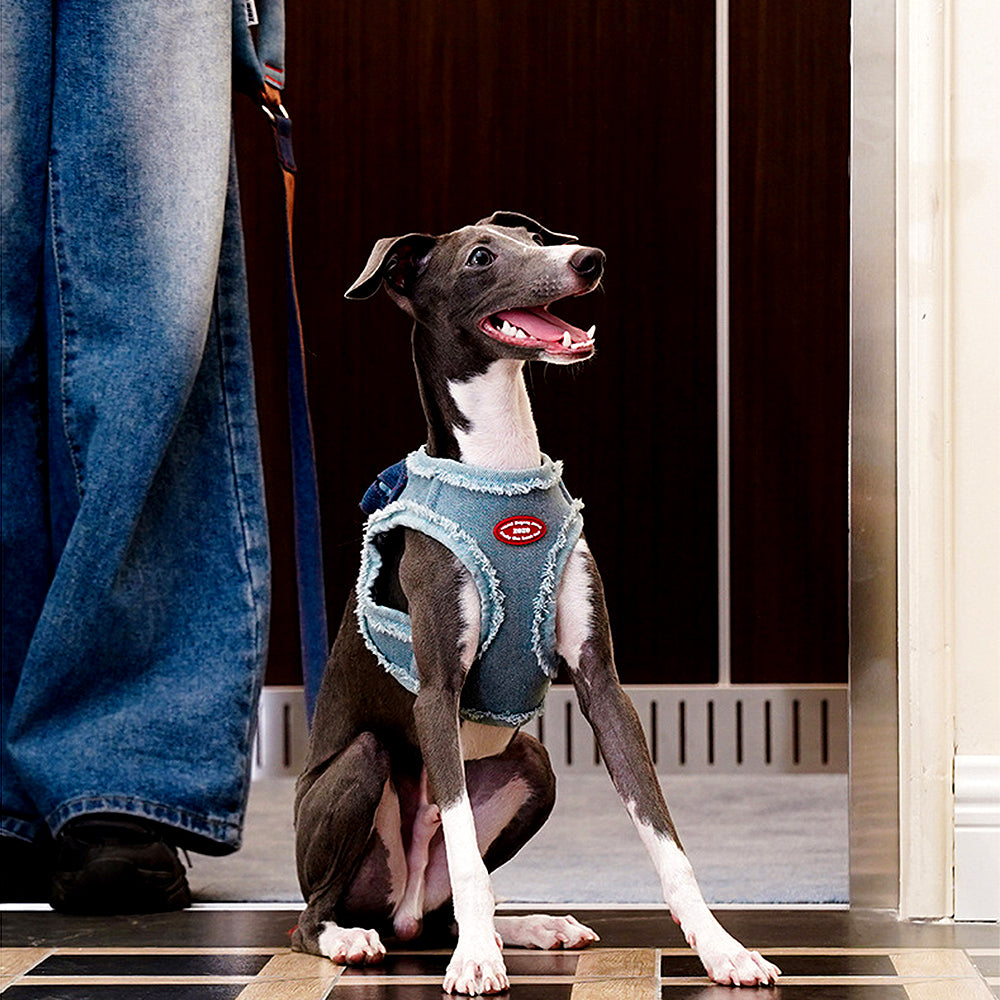ZalloPaws Denim Pet Harness Set