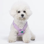 Dopamine Sunflower Pet Harness Set