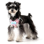 Cartoon Big Mouth Dog Harness Set