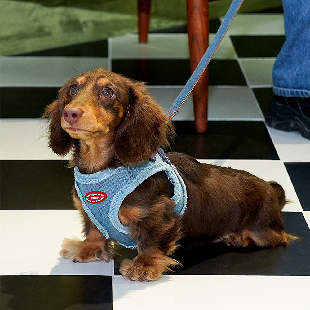ZalloPaws Denim Pet Harness Set