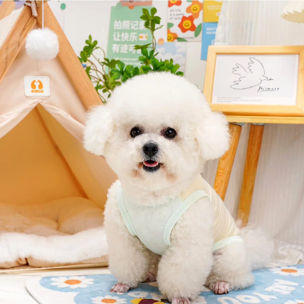 Summer Cooling Ice Silk Dog Vest
