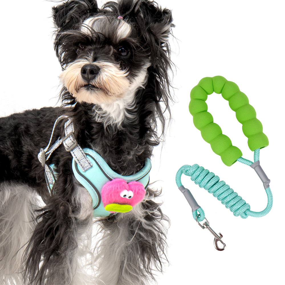 Cartoon Big Mouth Dog Harness Set