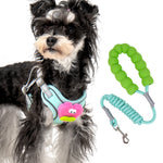 Cartoon Big Mouth Dog Harness Set
