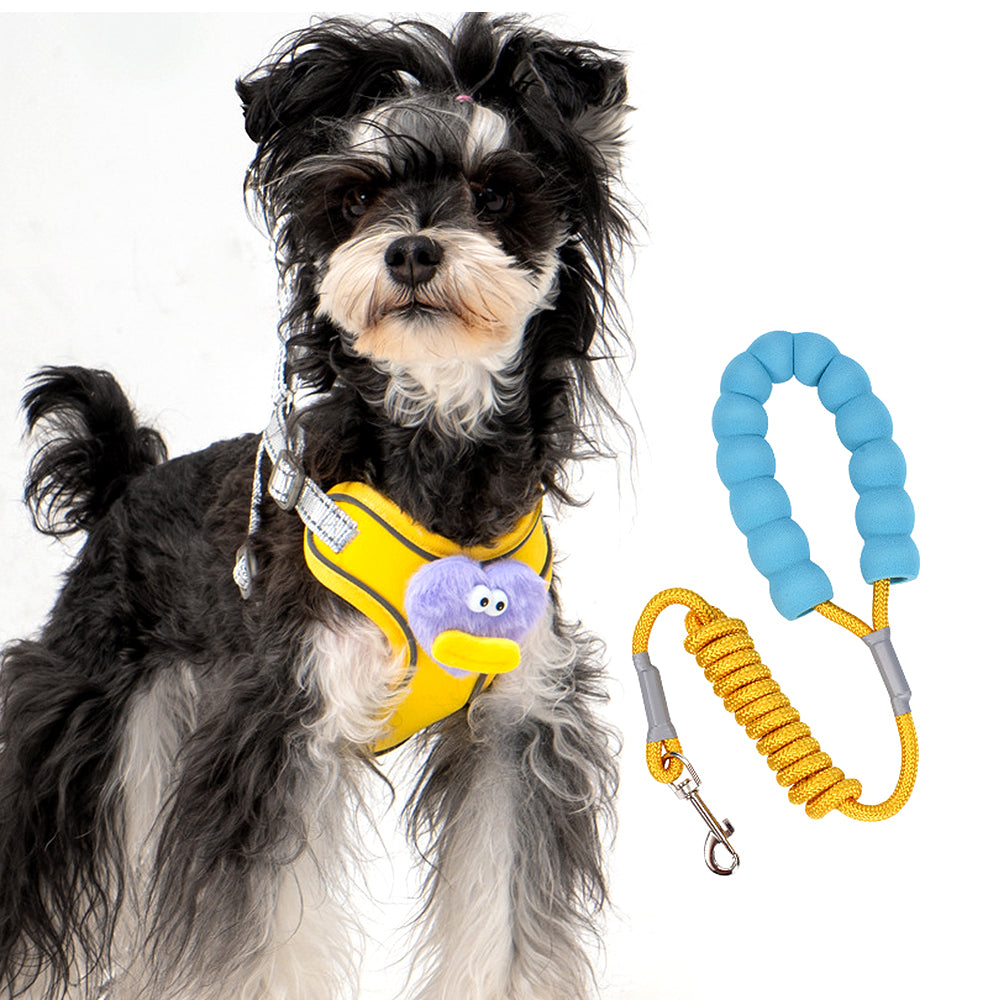 Cartoon Big Mouth Dog Harness Set