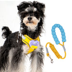 Cartoon Big Mouth Dog Harness Set