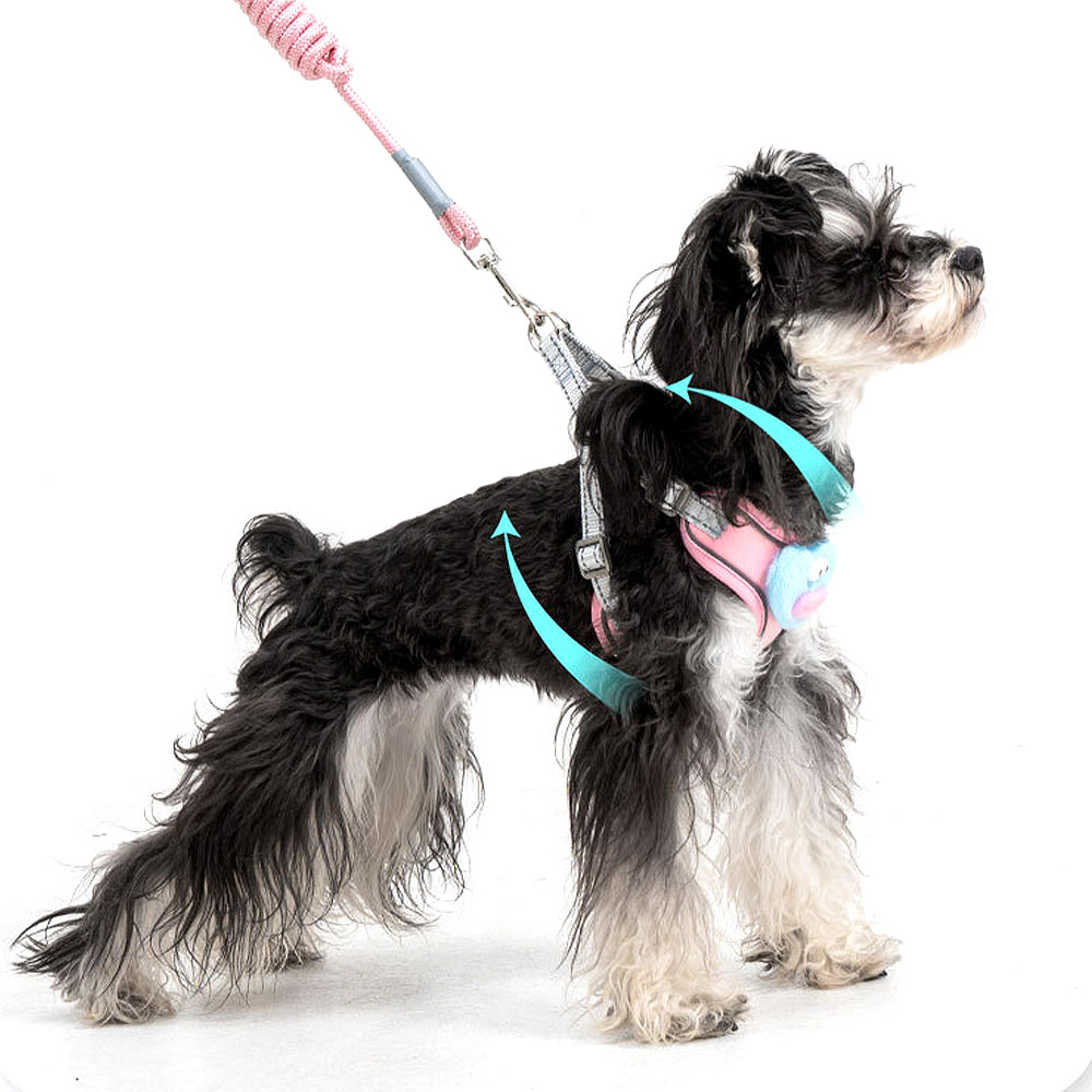 Cartoon Big Mouth Dog Harness Set