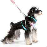 Cartoon Big Mouth Dog Harness Set