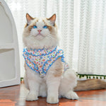 Spring Summer Floral Ruffle Pet Dress
