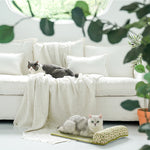 Summer Floral Daisy Rattan Cooling Pet Mat