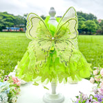 Butterfly Princess Pet Dress