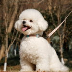 ZalloPaws Leather-Trimmed Anti-Escape Dog Harness & Leash Set