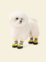 Smiley Breeze Dog Shoes