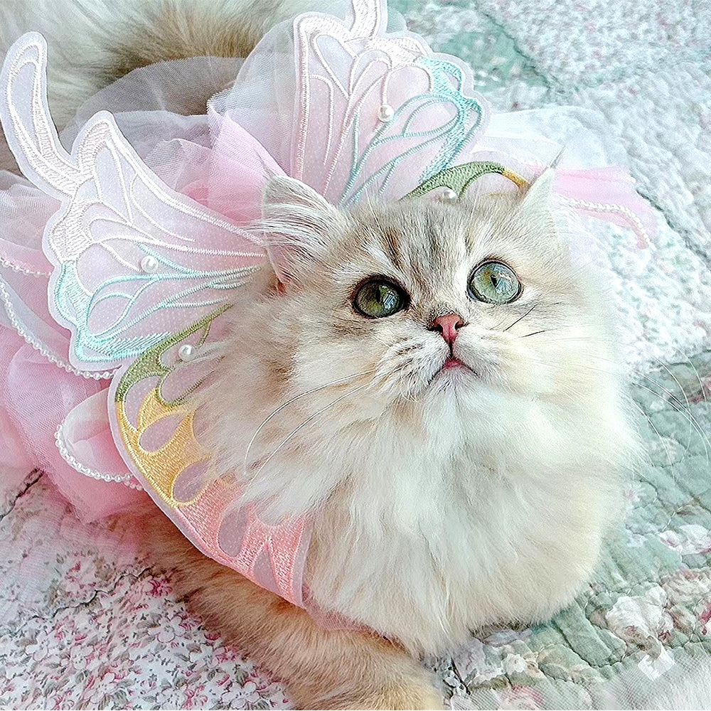Butterfly Princess Pet Dress