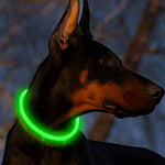 LED Rechargeable Pet Collar