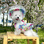 Floral Lace Princess Pet Dress
