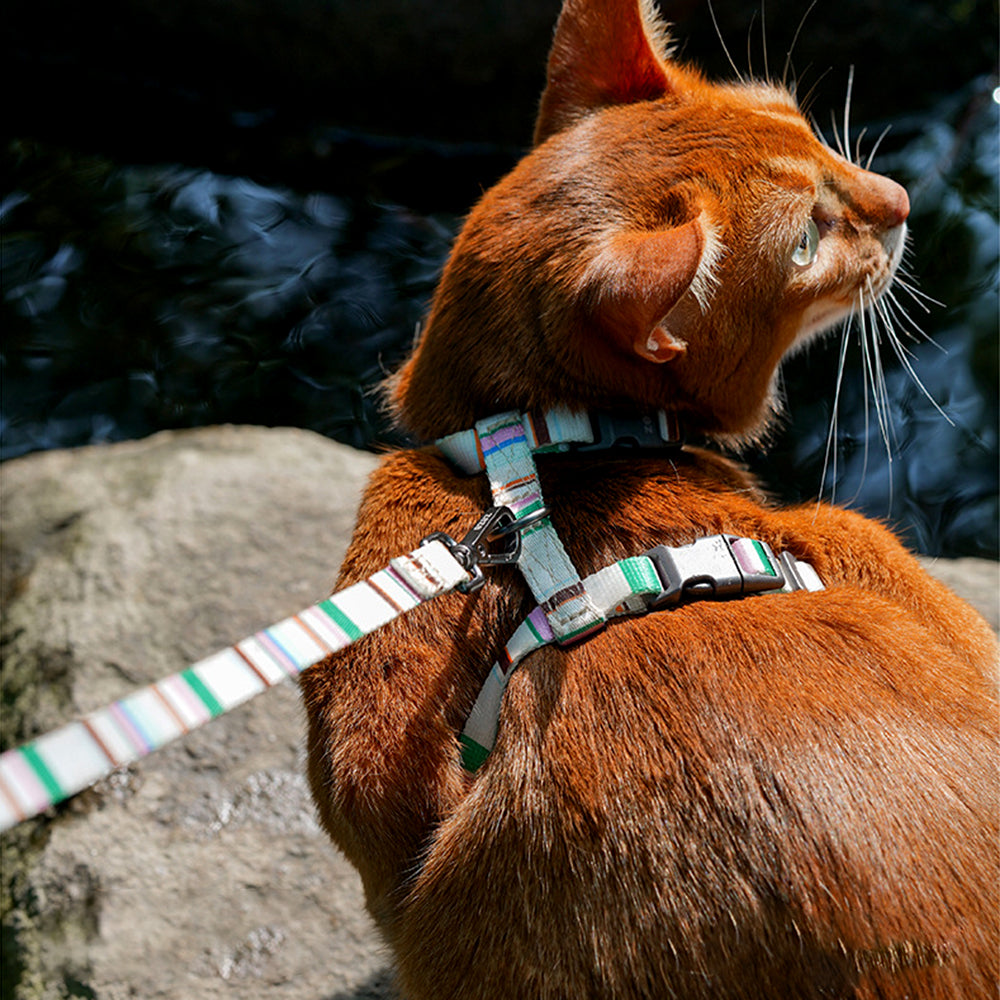 Adjustable Anti-Escape Pet Harness & Leash Set