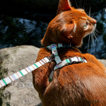Adjustable Anti-Escape Pet Harness & Leash Set