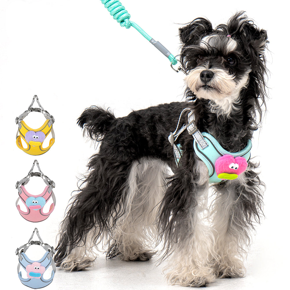 Cartoon Big Mouth Dog Harness Set