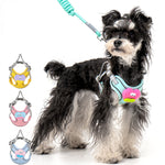 Cartoon Big Mouth Dog Harness Set