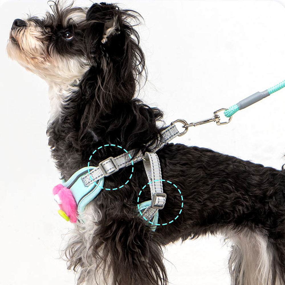 Cartoon Big Mouth Dog Harness Set