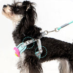 Cartoon Big Mouth Dog Harness Set