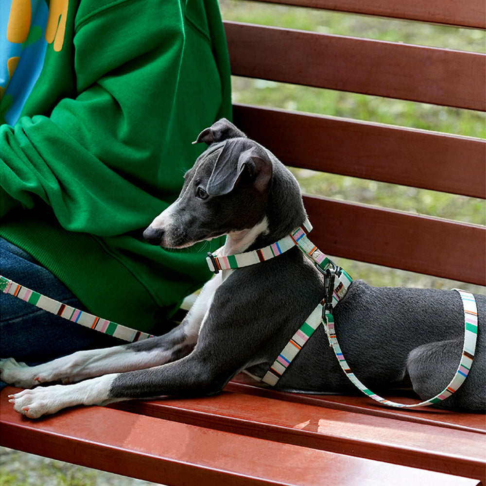 Adjustable Anti-Escape Pet Harness & Leash Set