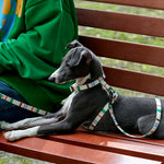 Adjustable Anti-Escape Pet Harness & Leash Set