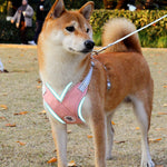 X-Shaped No-Pull Dog Harness for Small & Medium Breeds