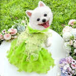 Butterfly Princess Pet Dress