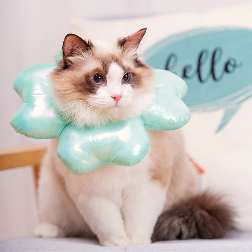 ZalloPaws Lucky Clover Pet Recovery Collar