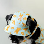 ZalloPaws Cooling Dog Vest & Hat Set