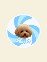 ZalloPaws Custom Pet Rug – Eddies