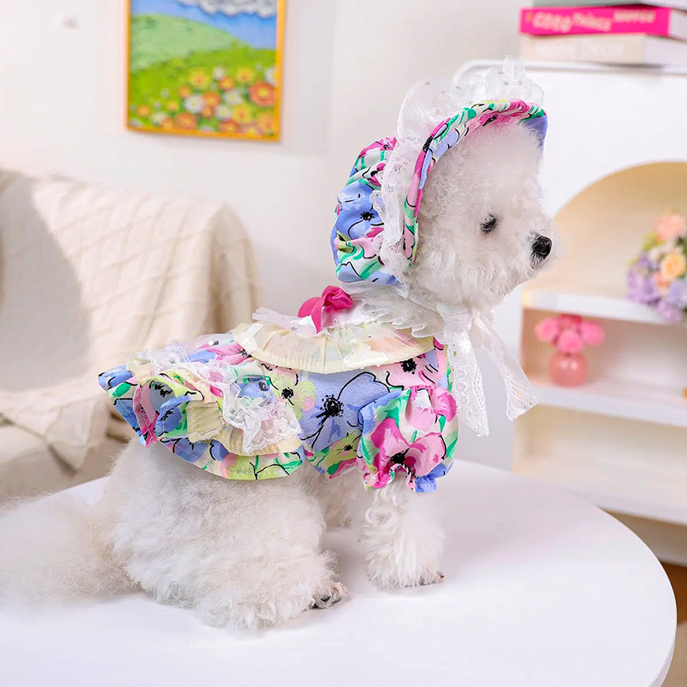 Floral Lace Princess Pet Dress