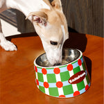 Retro Chic Tilted Stainless Steel Pet Bowl – 15° Angle for Easy Eating