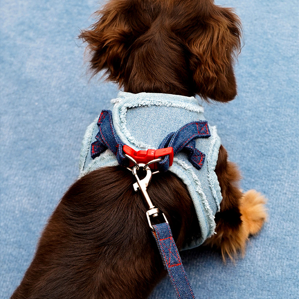ZalloPaws Denim Pet Harness Set