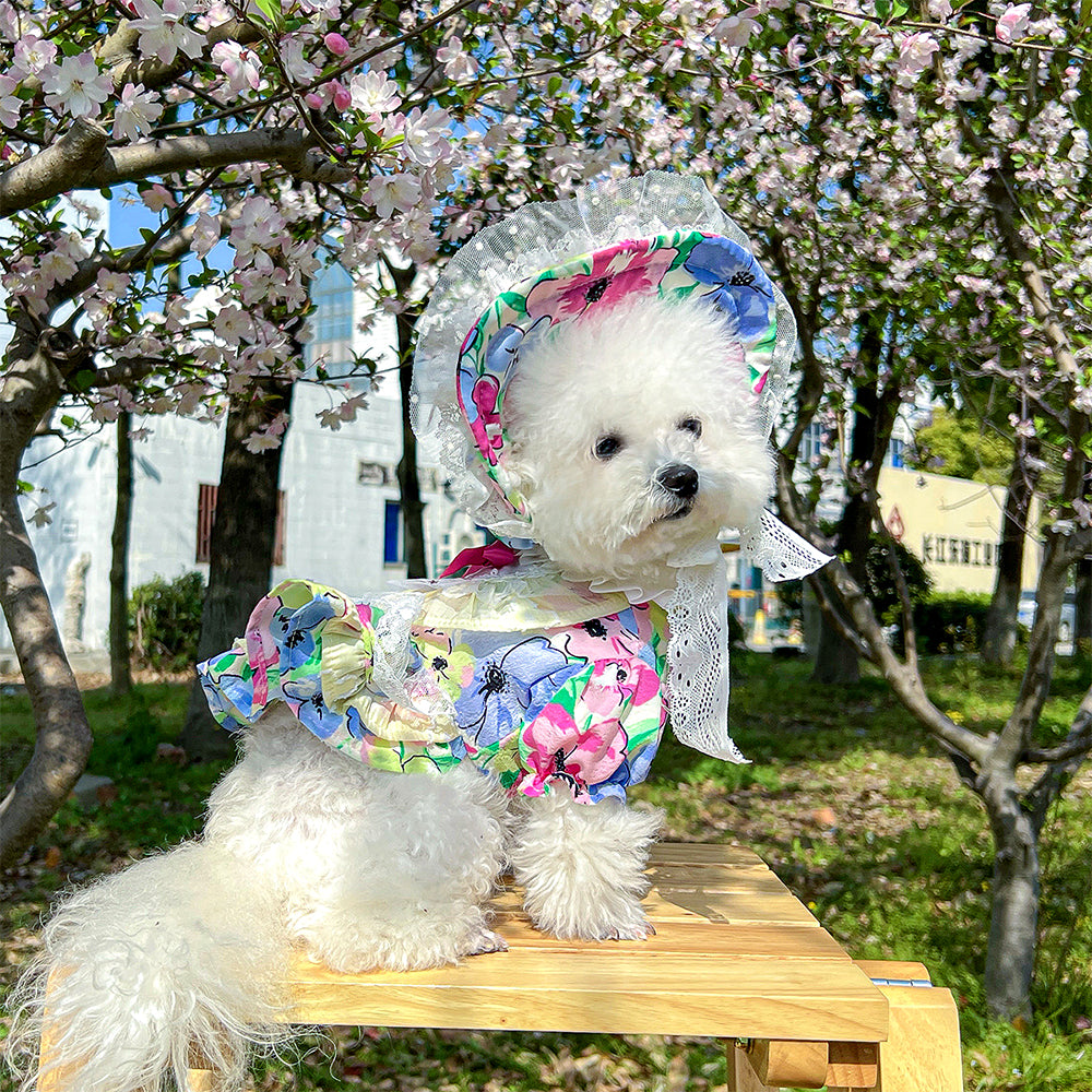 Floral Lace Princess Pet Dress