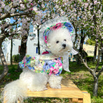 Floral Lace Princess Pet Dress