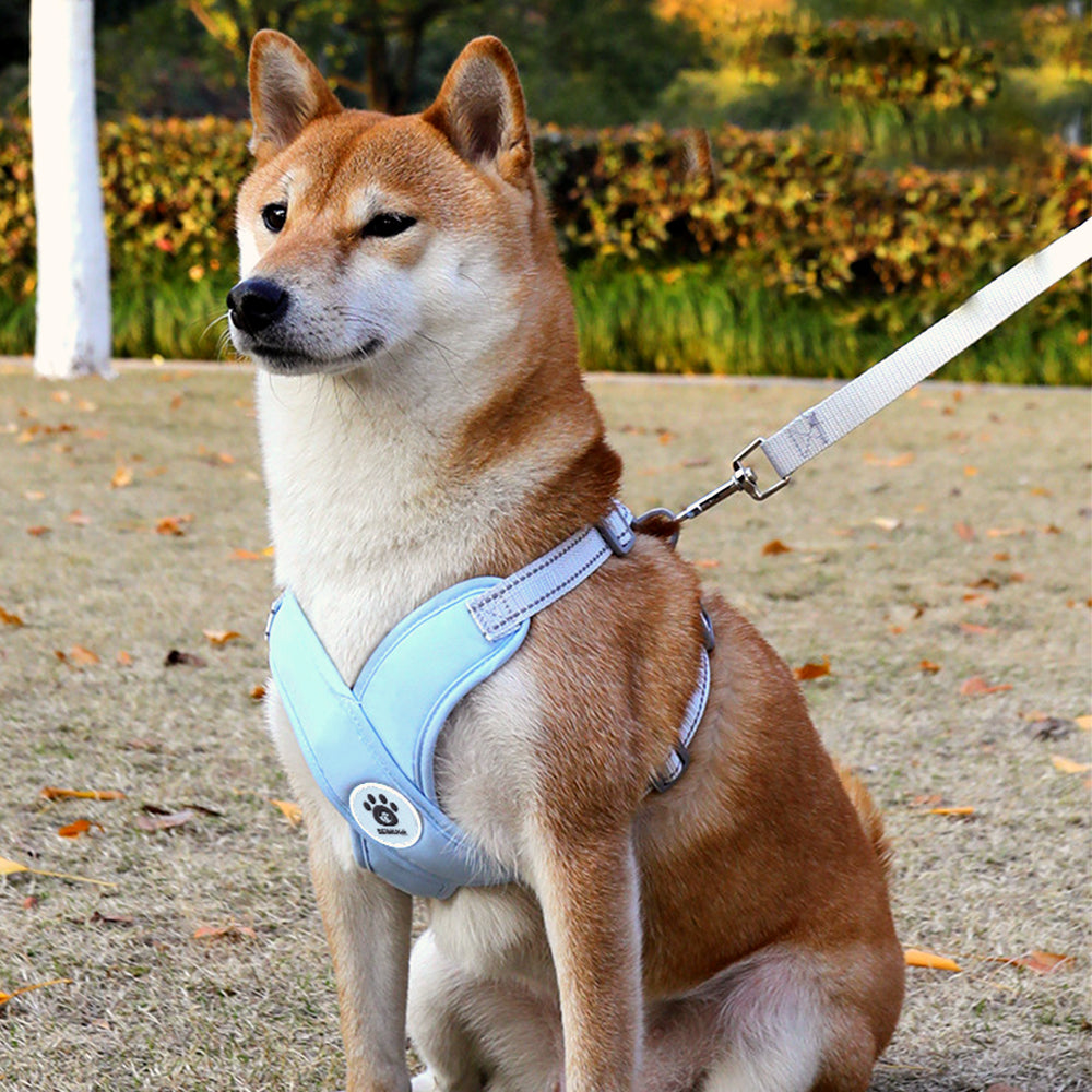 X-Shaped No-Pull Dog Harness for Small & Medium Breeds