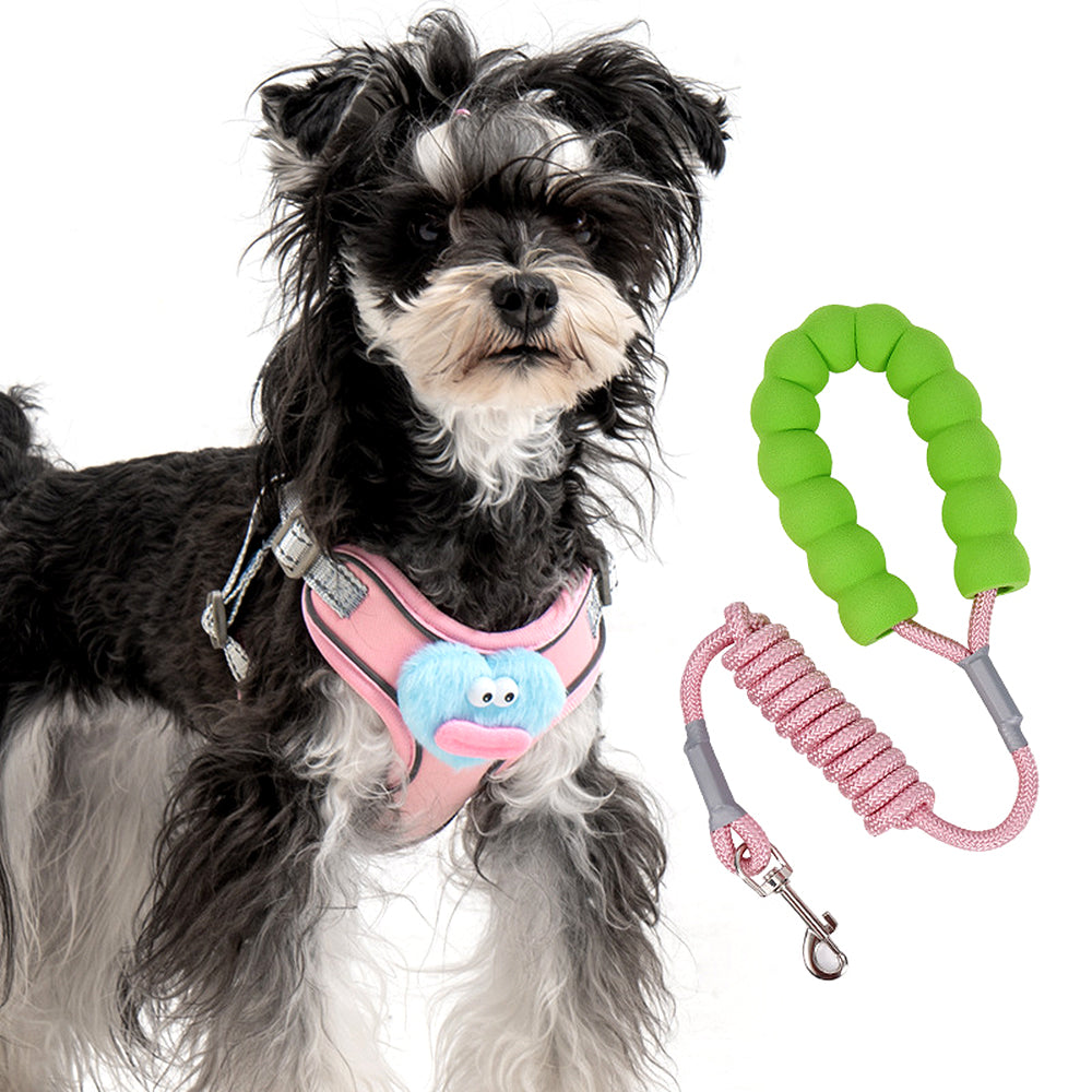 Cartoon Big Mouth Dog Harness Set