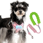 Cartoon Big Mouth Dog Harness Set