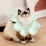 ZalloPaws Lucky Clover Pet Recovery Collar