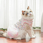 Spring Summer Floral Ruffle Pet Dress