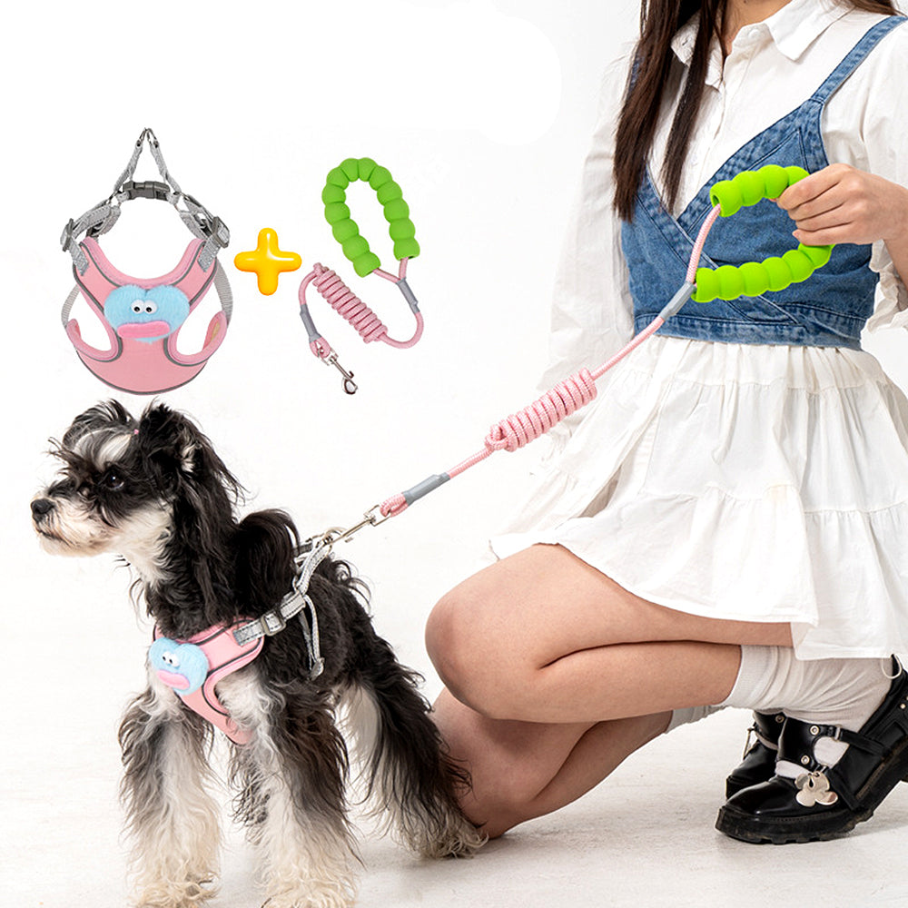 Cartoon Big Mouth Dog Harness Set