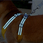 X-Shaped No-Pull Dog Harness for Small & Medium Breeds