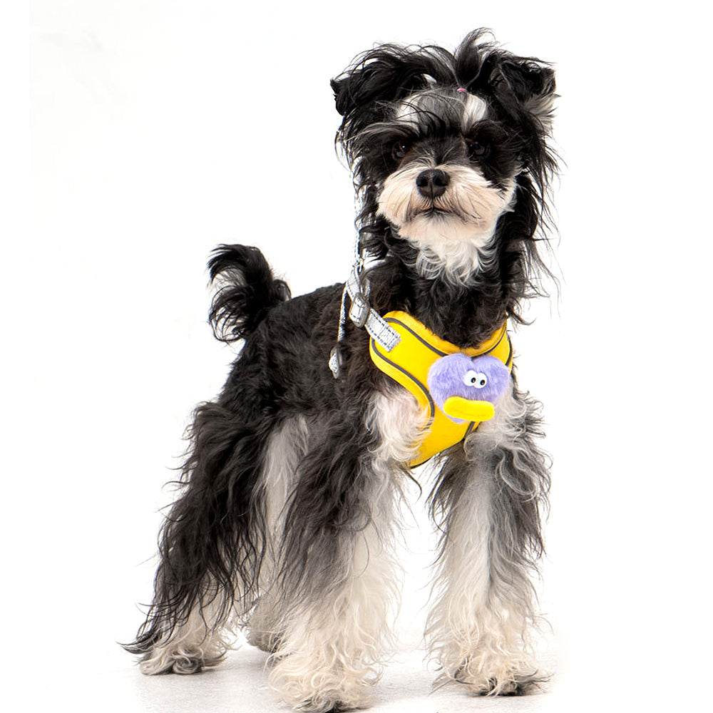 Cartoon Big Mouth Dog Harness Set
