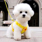 Dopamine Sunflower Pet Harness Set