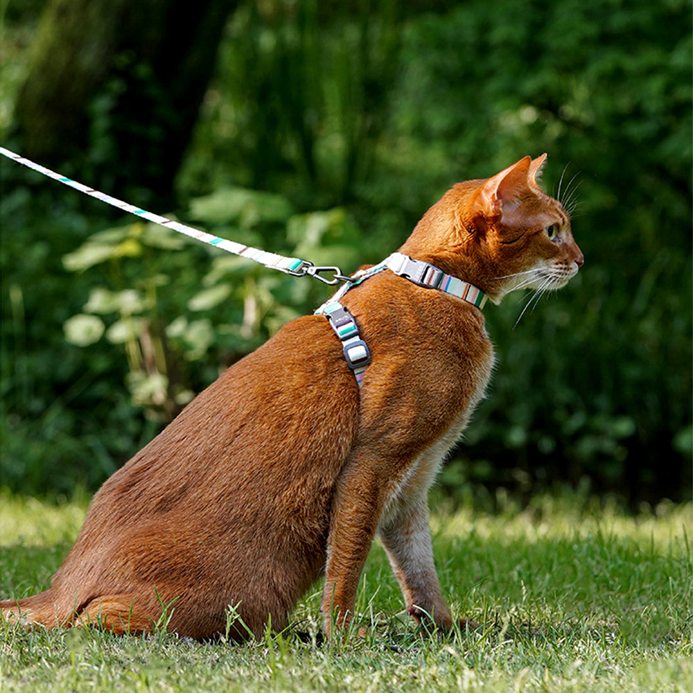 Adjustable Anti-Escape Pet Harness & Leash Set