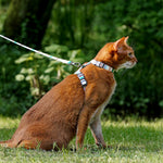 Adjustable Anti-Escape Pet Harness & Leash Set