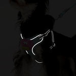 Cartoon Big Mouth Dog Harness Set